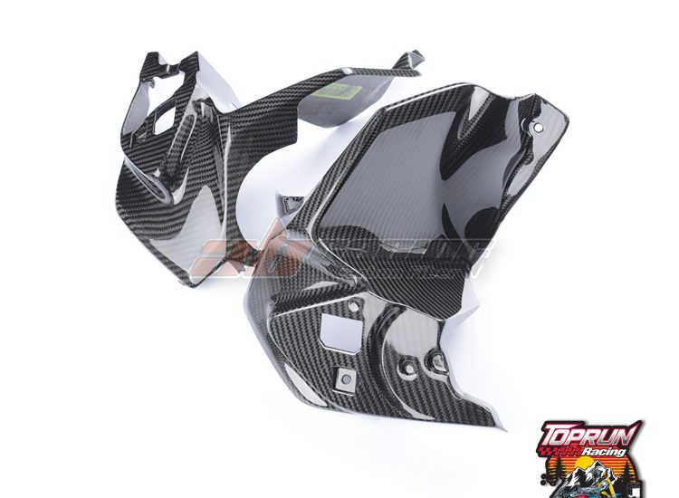 Dàn áo carbon cánh chim cho BMW R1250GS